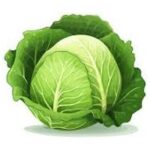 Cabbage Per Lbs