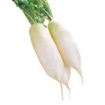 Radish White